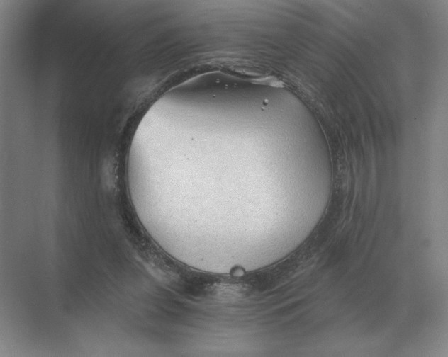 X0000068830255200605191906