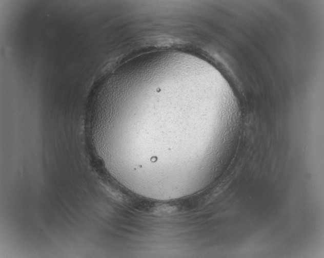 X0000068830257200605191906