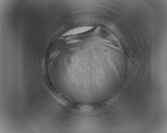 X0000068830258200605191906