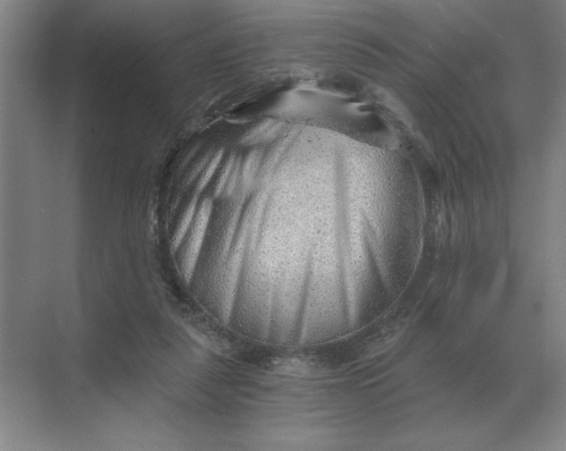 X0000068830259200605191906