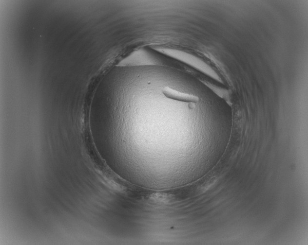 X0000068830261200605191906