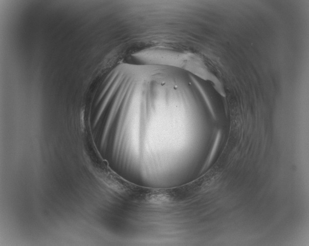 X0000068830262200605191906