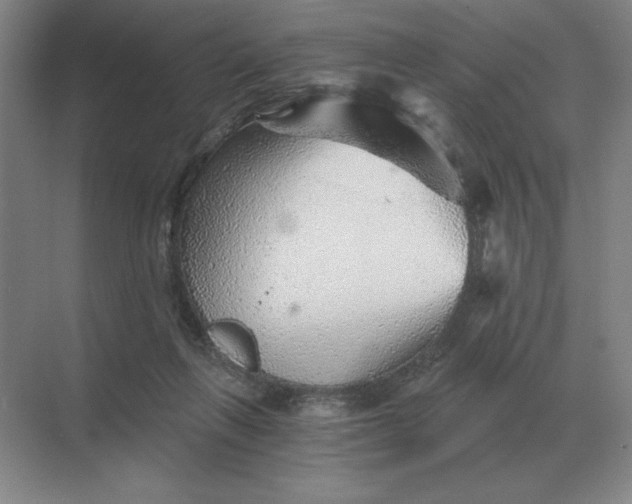 X0000068830263200605191906