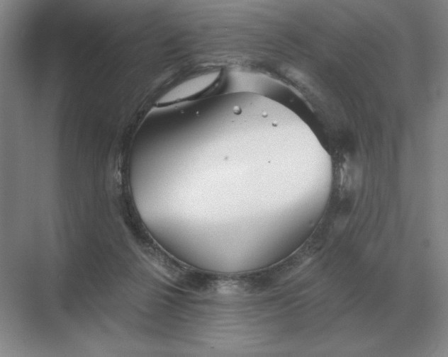 X0000068830264200605191906