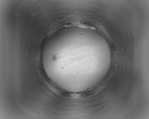 X0000068830265200605191906