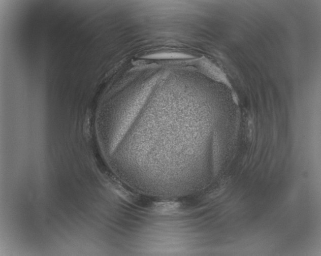 X0000068830266200605191906