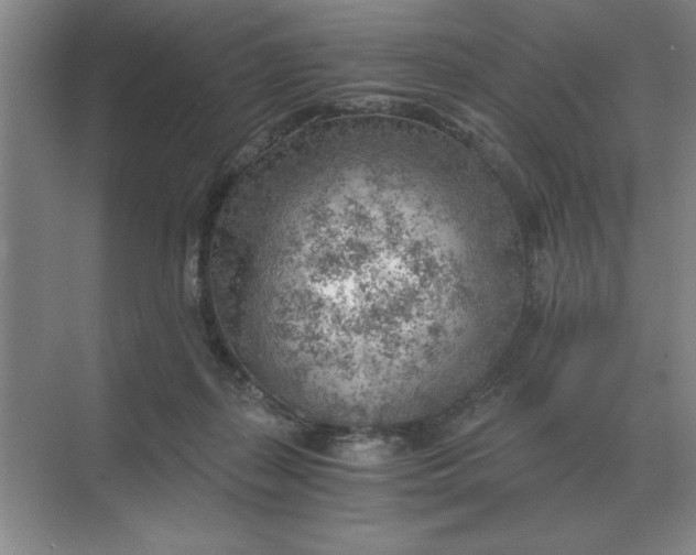 X0000068830267200605191906