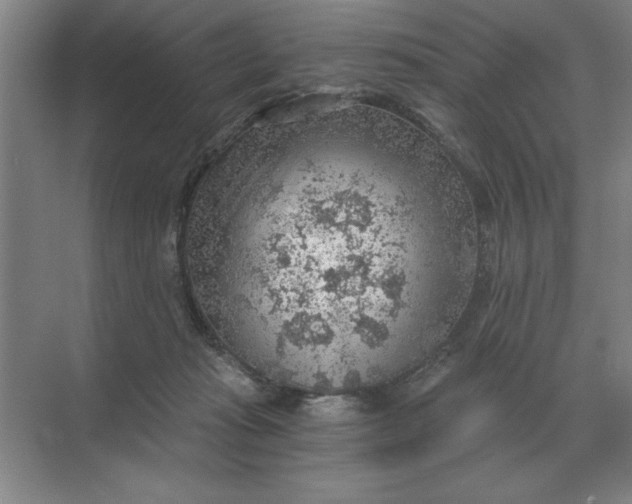 X0000068830269200605191906