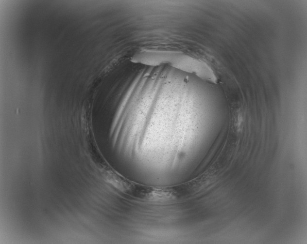 X0000068830270200605191906