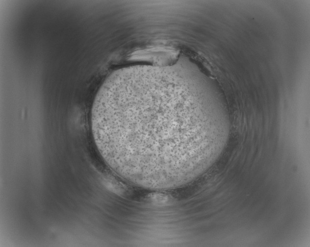 X0000068830272200605191907