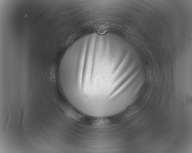 X0000068830274200605191907