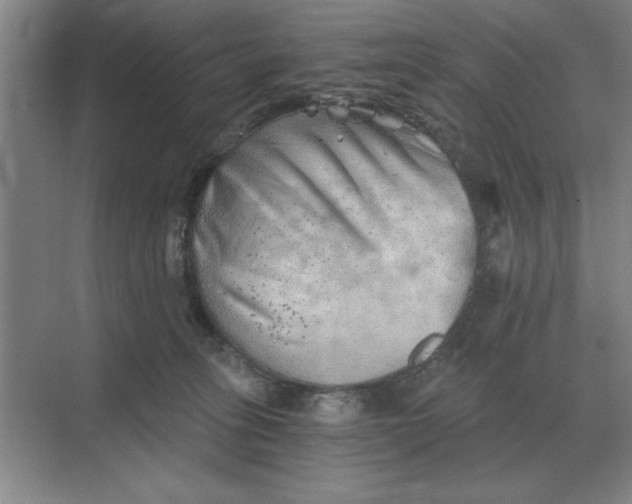 X0000068830275200605191907