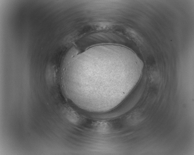 X0000068830276200605191907