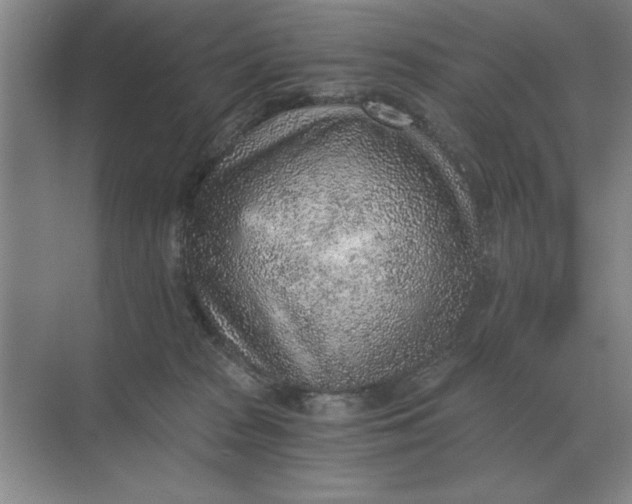 X0000068830277200605191907