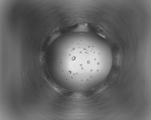 X0000068830280200605191907