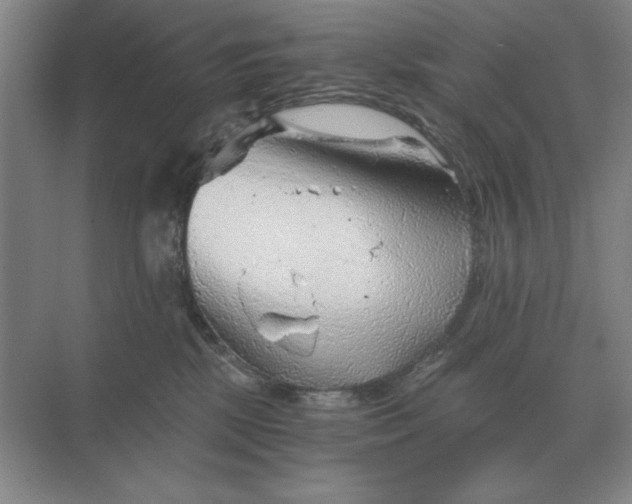 X0000068830281200605191907