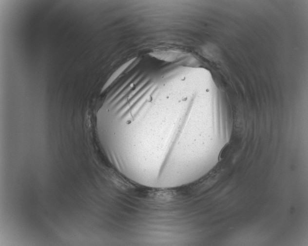 X0000068830282200605191907