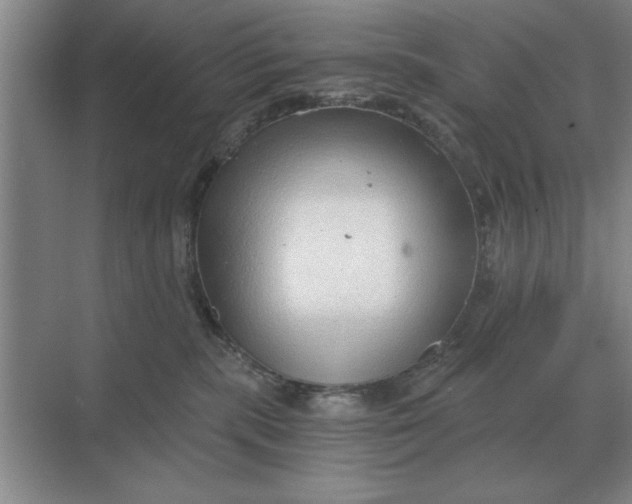 X0000068830283200605191907