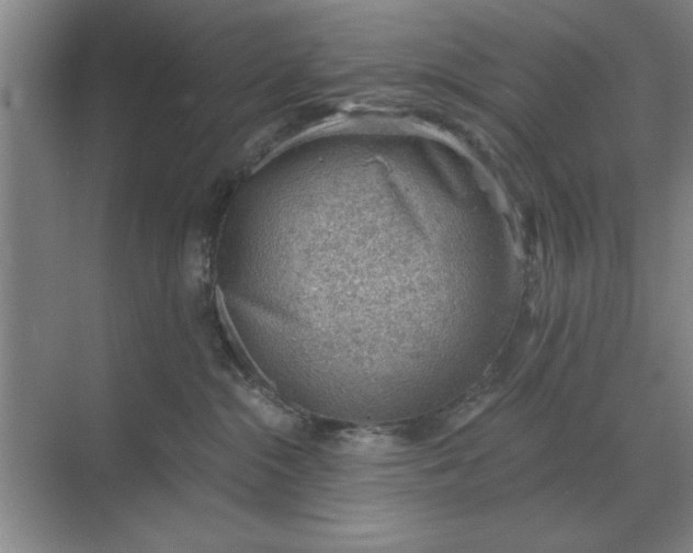 X0000068830284200605191907