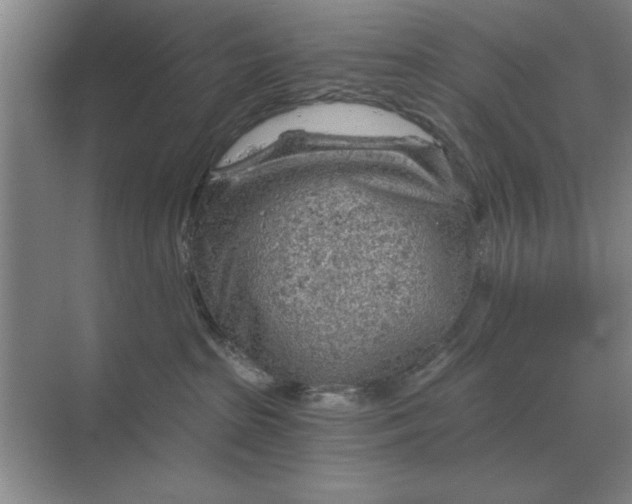 X0000068830285200605191907