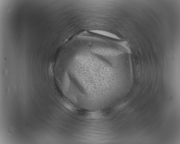 X0000068830286200605191907