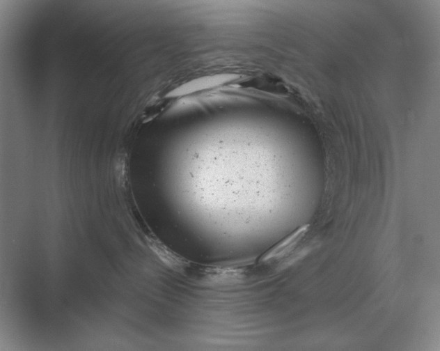 X0000068830288200605191907