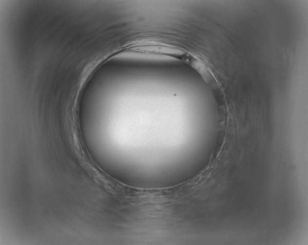 X0000068830289200605191906