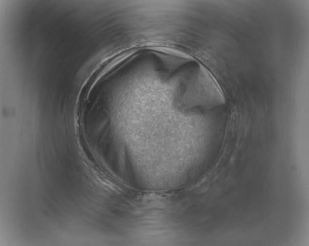 X0000068830290200605191906