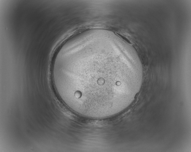 X0000068830293200605191906