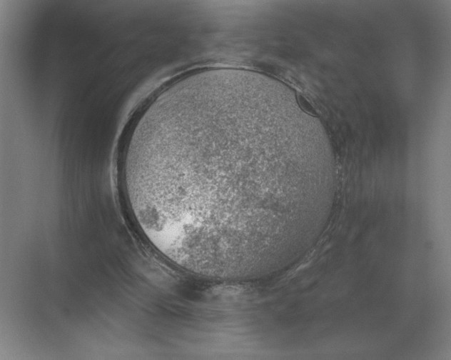 X0000068830294200605191906