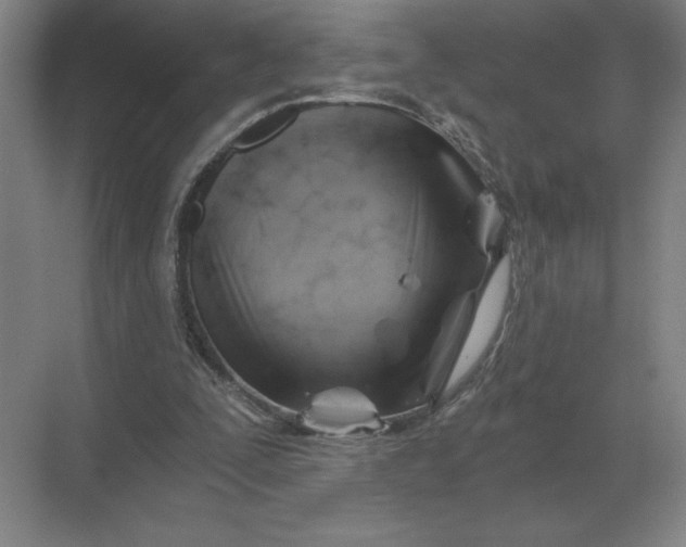 X0000068830295200605191906