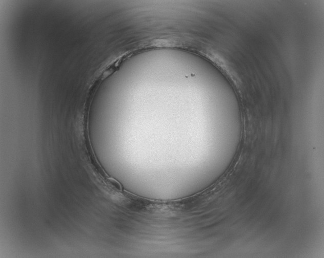 X0000068830297200605191906