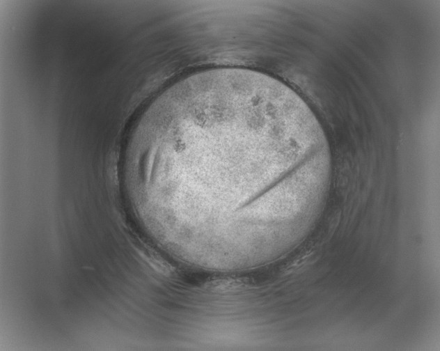 X0000068830299200605191906