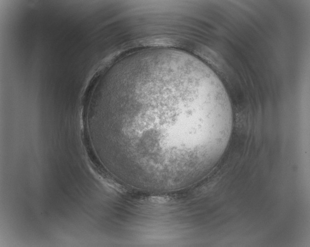 X0000068830302200605191906