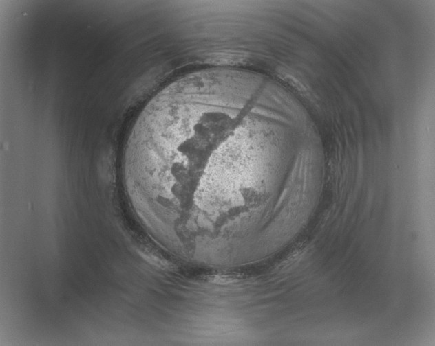 X0000068830303200605191906