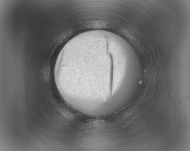 X0000068830304200605191906