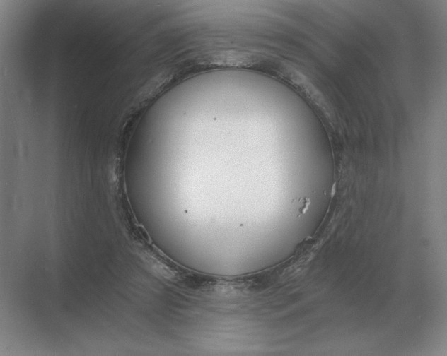 X0000068830305200605191906