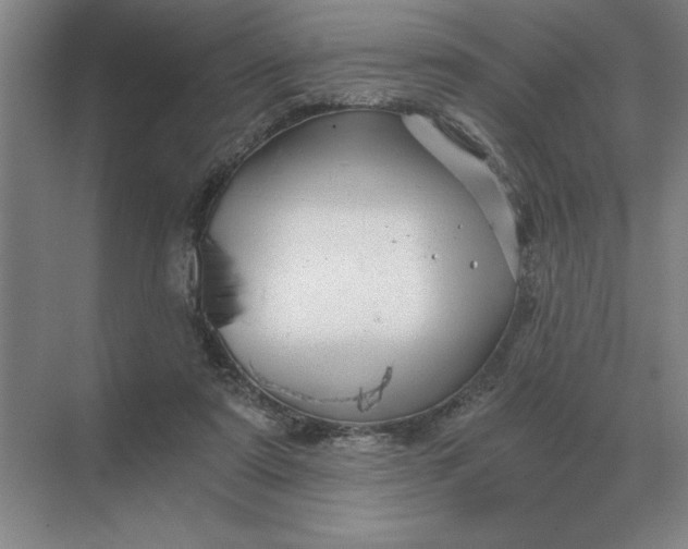 X0000068830307200605191906