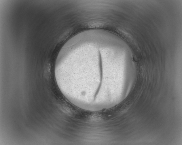 X0000068830308200605191906