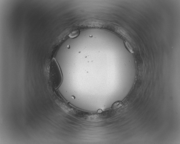 X0000068830309200605191906