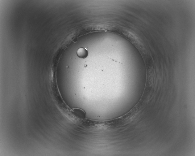 X0000068830310200605191906