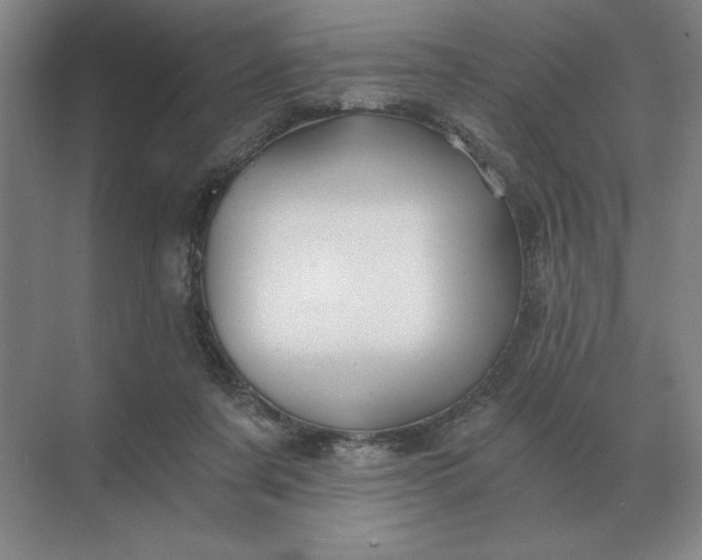 X0000068830311200605191906