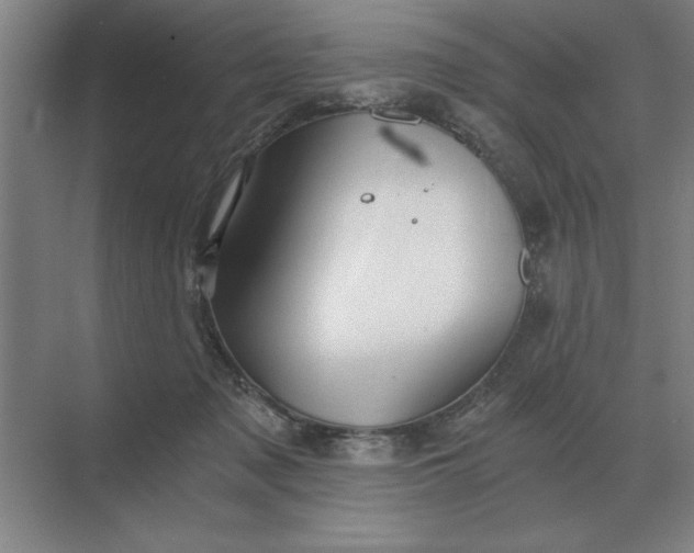 X0000068830317200605191906