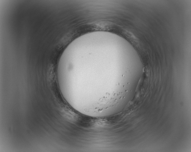 X0000068830318200605191905