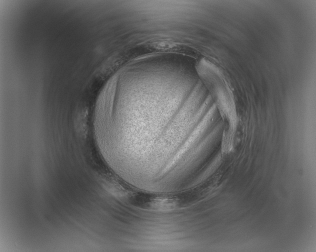 X0000068830319200605191905