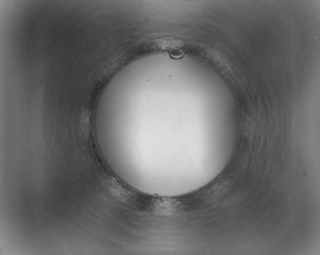 X0000068830321200605191905