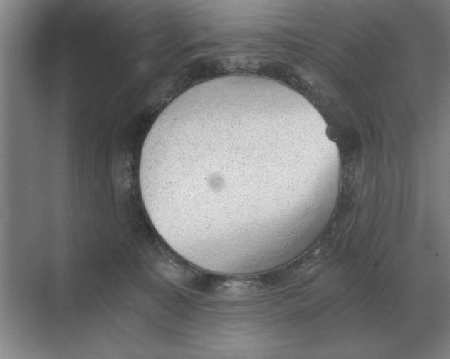 X0000068830323200605191905