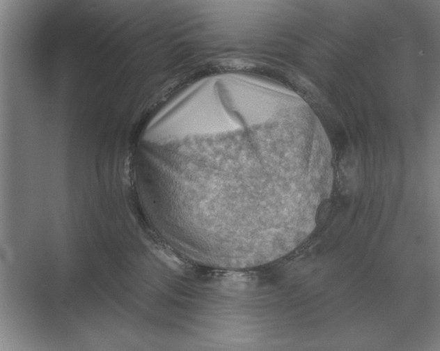 X0000068830330200605191905