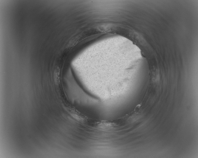 X0000068830332200605191905