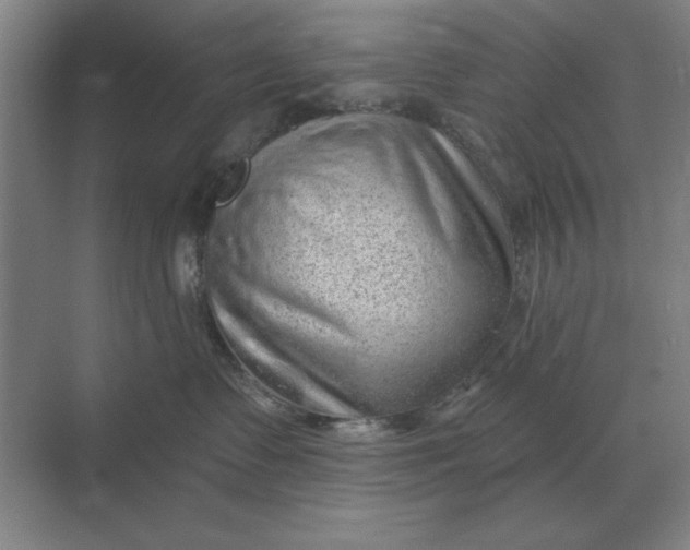 X0000068830335200605191905